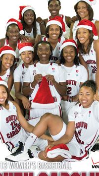 south carolina state wallpaper