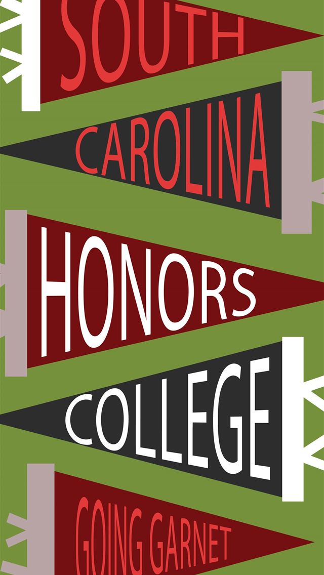 1284x2778 south carolina state - south carolina state iPhone Wallpaper