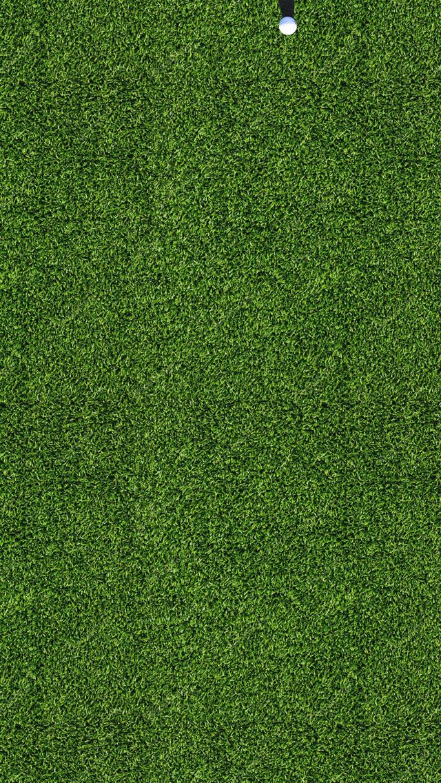 1284x2778 fc lokomotiv moscow - fc lokomotiv moscow iPhone Wallpaper
