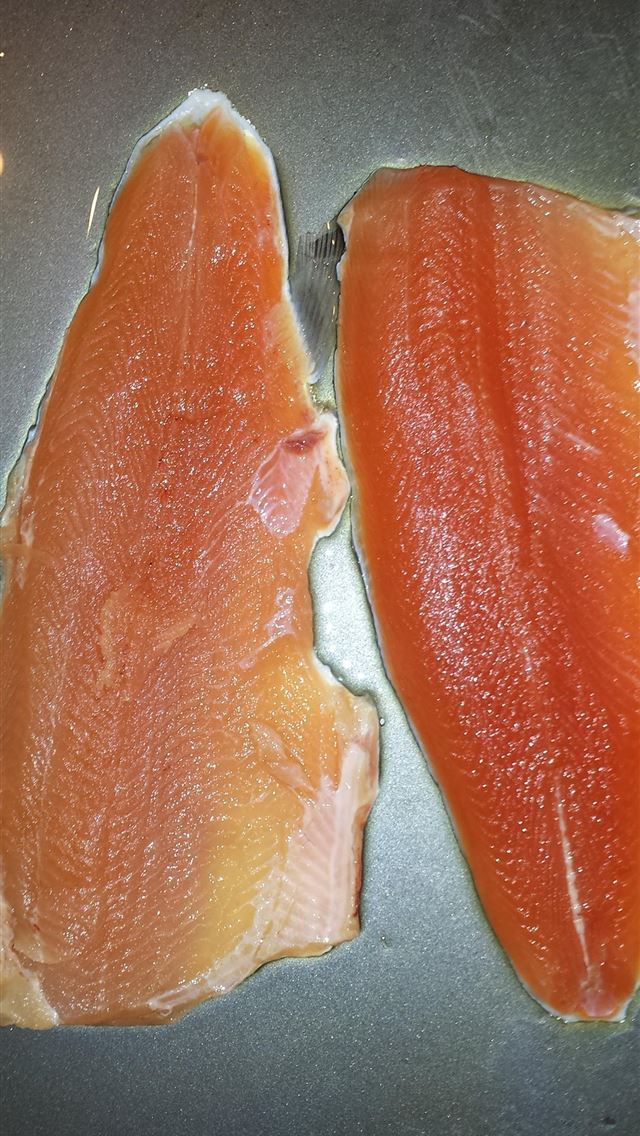 1284x2778 rainbow trout - rainbow trout iPhone Wallpaper