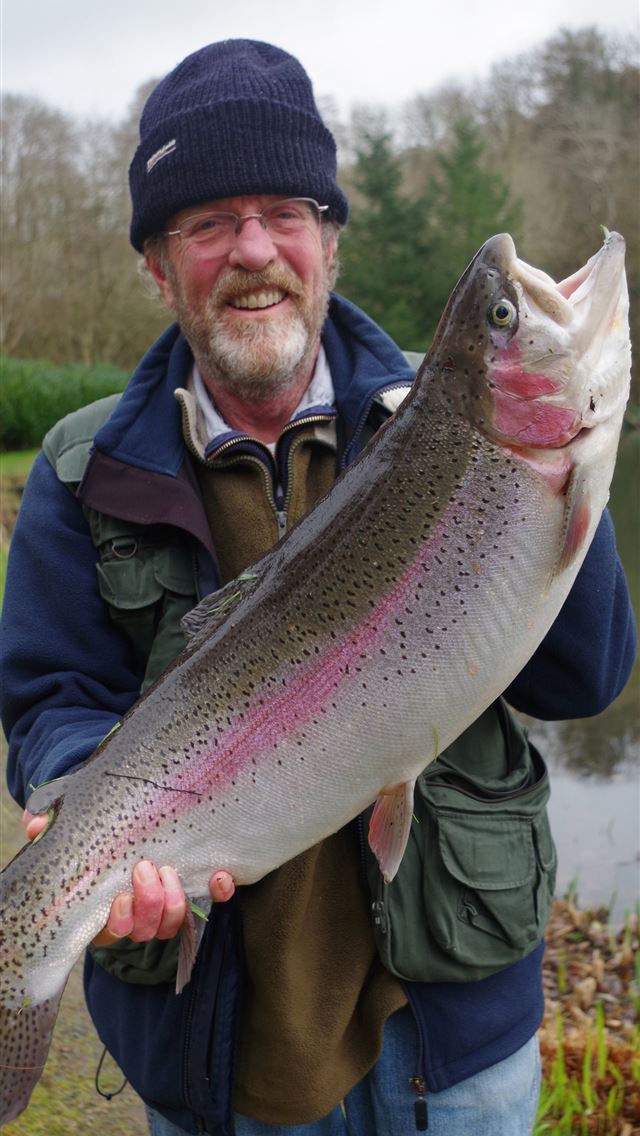 1284x2778 rainbow trout - rainbow trout iPhone Wallpaper