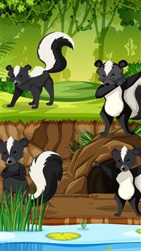 skunks wallpaper