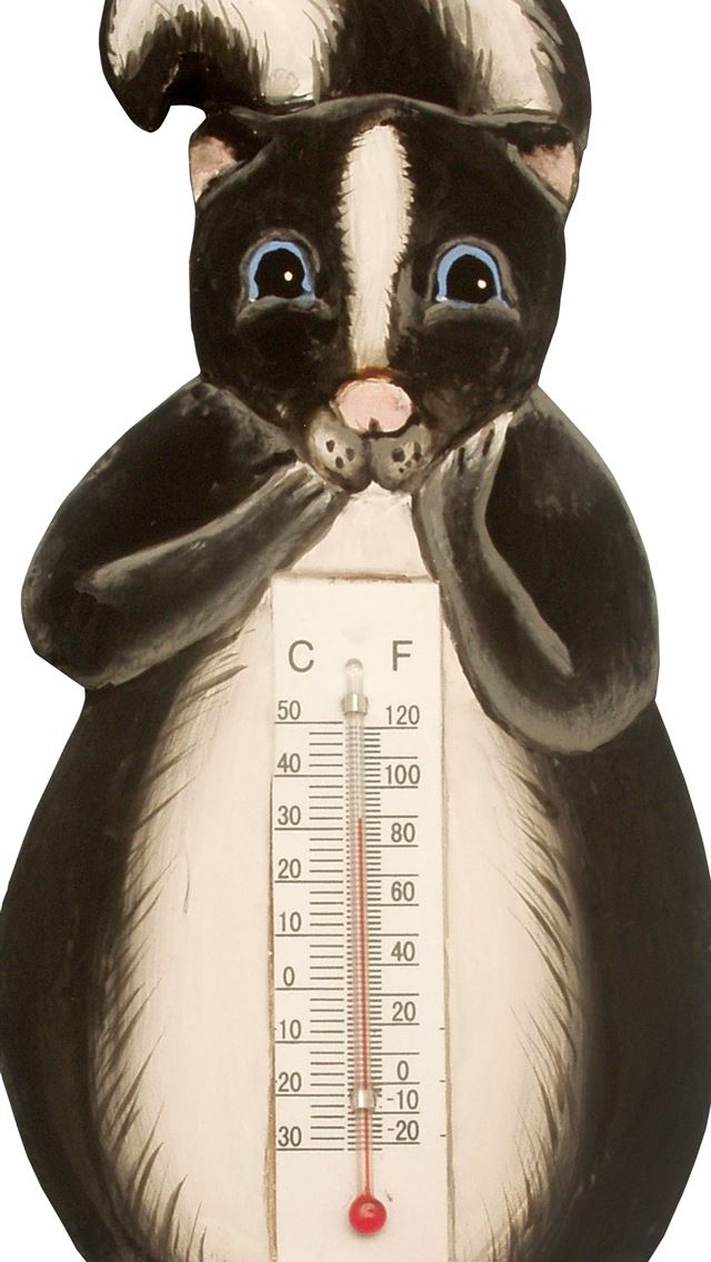 1284x2778 skunks - skunks iPhone Wallpaper
