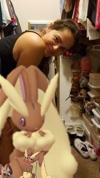 lopunny hd wallpaper