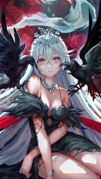 eared seals wallpaper