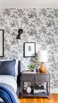 eared seals wallpaper