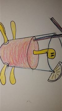 shuckle hd wallpaper