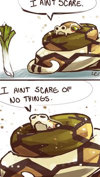 shuckle hd wallpaper