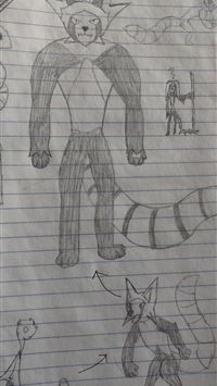 bayleef hd wallpaper