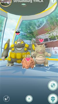 rhyperior hd wallpaper