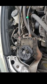 tapu bulu hd wallpaper