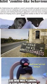 kommo o hd wallpaper