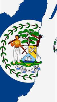 nigeria flag wallpaper