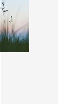 huawei enjoy 9e wallpaper