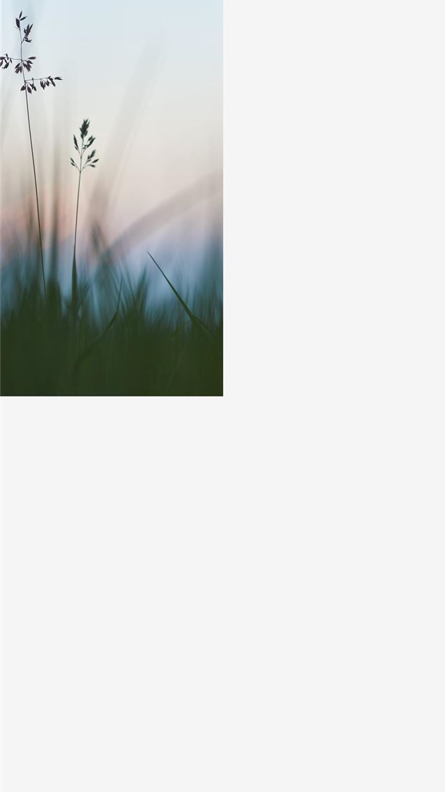 1284x2778 huawei enjoy 9e - huawei enjoy 9e iPhone Wallpaper