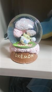 zebstrika hd wallpaper