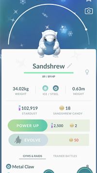 zebstrika hd wallpaper