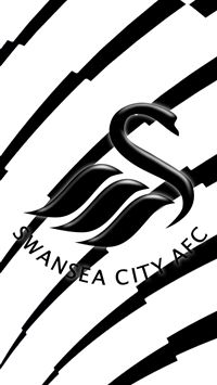 cardiff city fc wallpaper