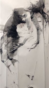 vogels pit viper trimeresurus vogeli wallpaper