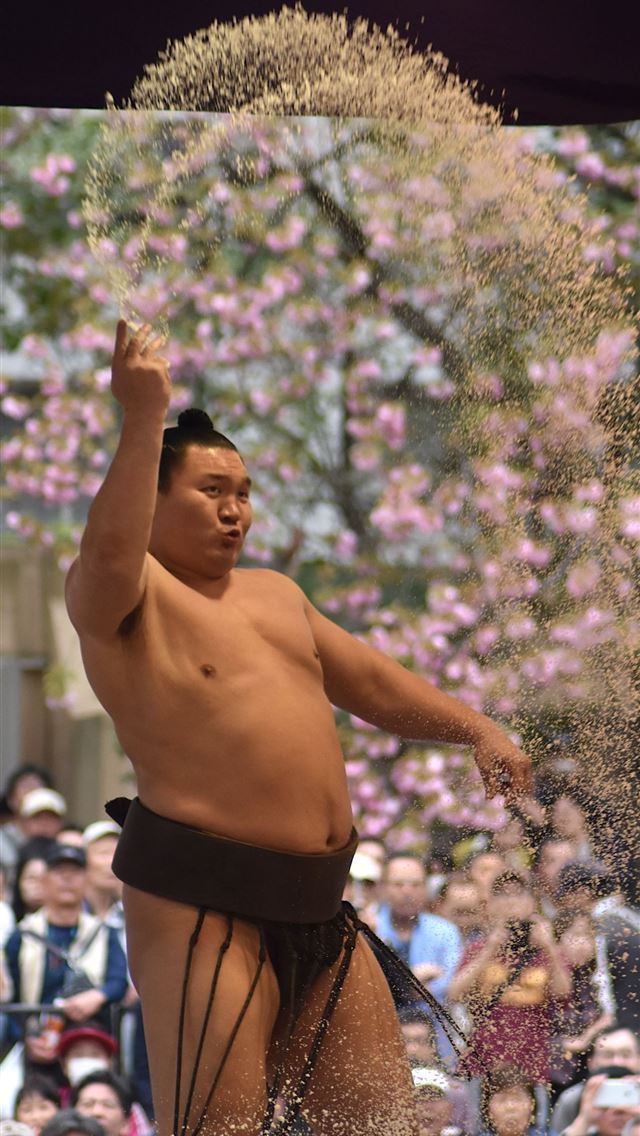 1284x2778 sumo - sumo iPhone Wallpaper