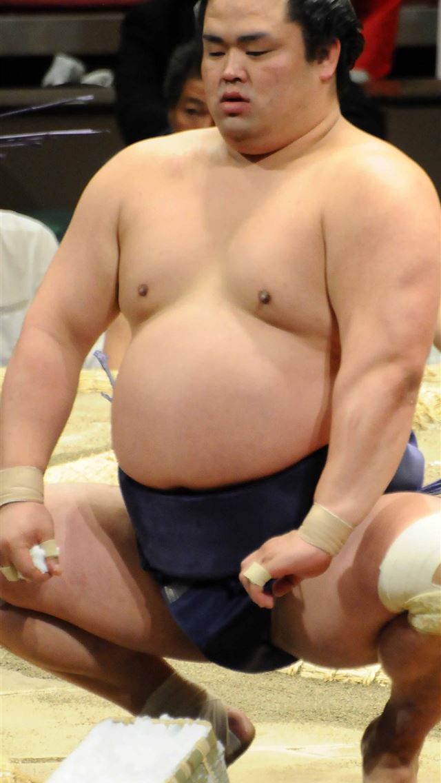 1284x2778 sumo - sumo iPhone Wallpaper