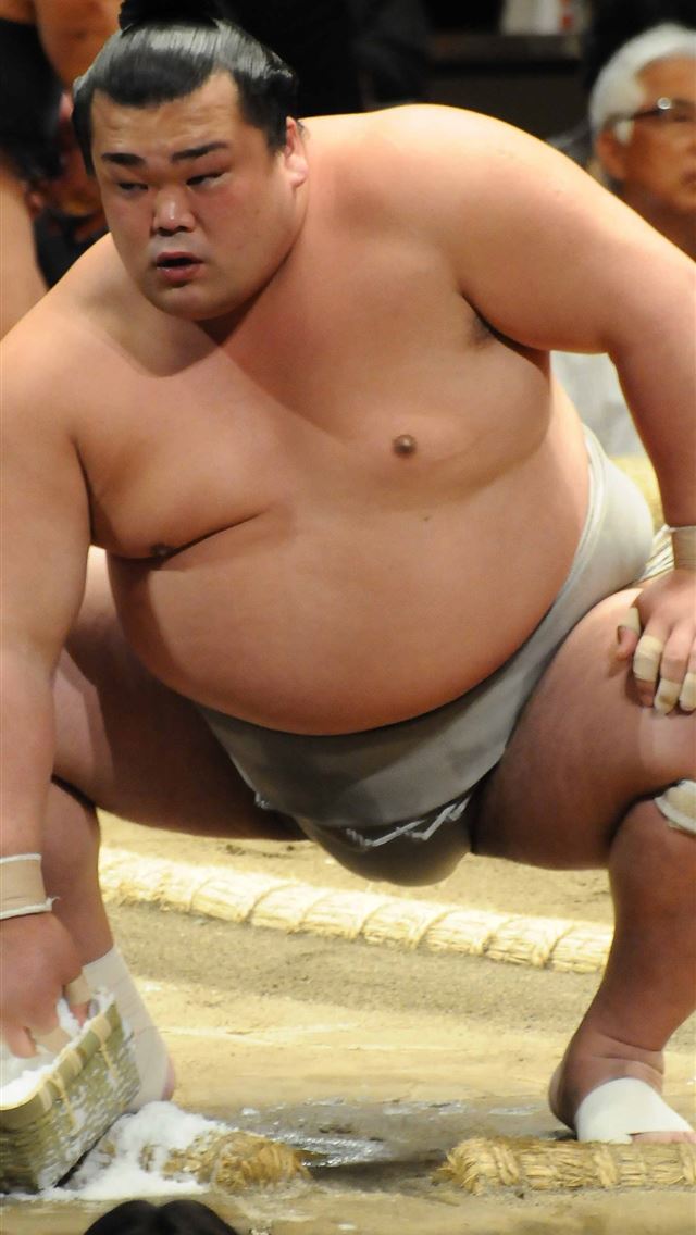 1284x2778 sumo - sumo iPhone Wallpaper