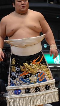sumo wallpaper
