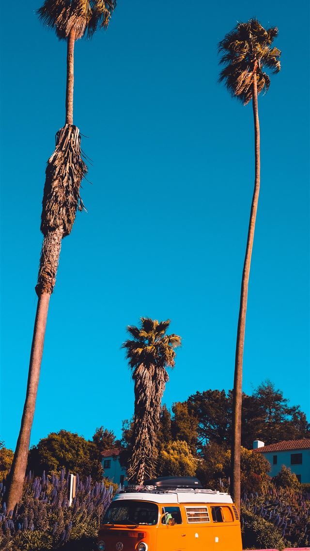 1284x2778 san jose california - san jose california iPhone Wallpaper