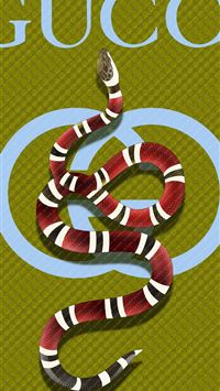 kingsnakes wallpaper