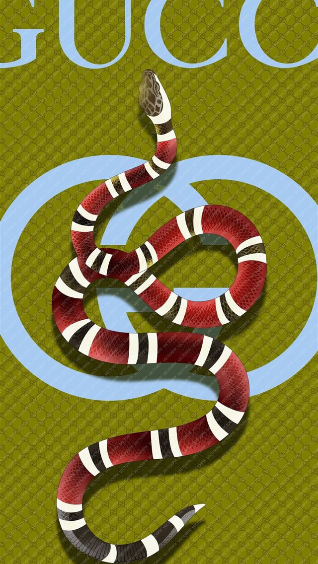1284x2778 kingsnakes - kingsnakes iPhone Wallpaper