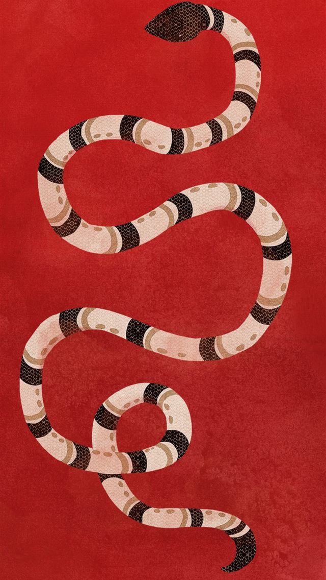 1284x2778 kingsnakes - kingsnakes iPhone Wallpaper