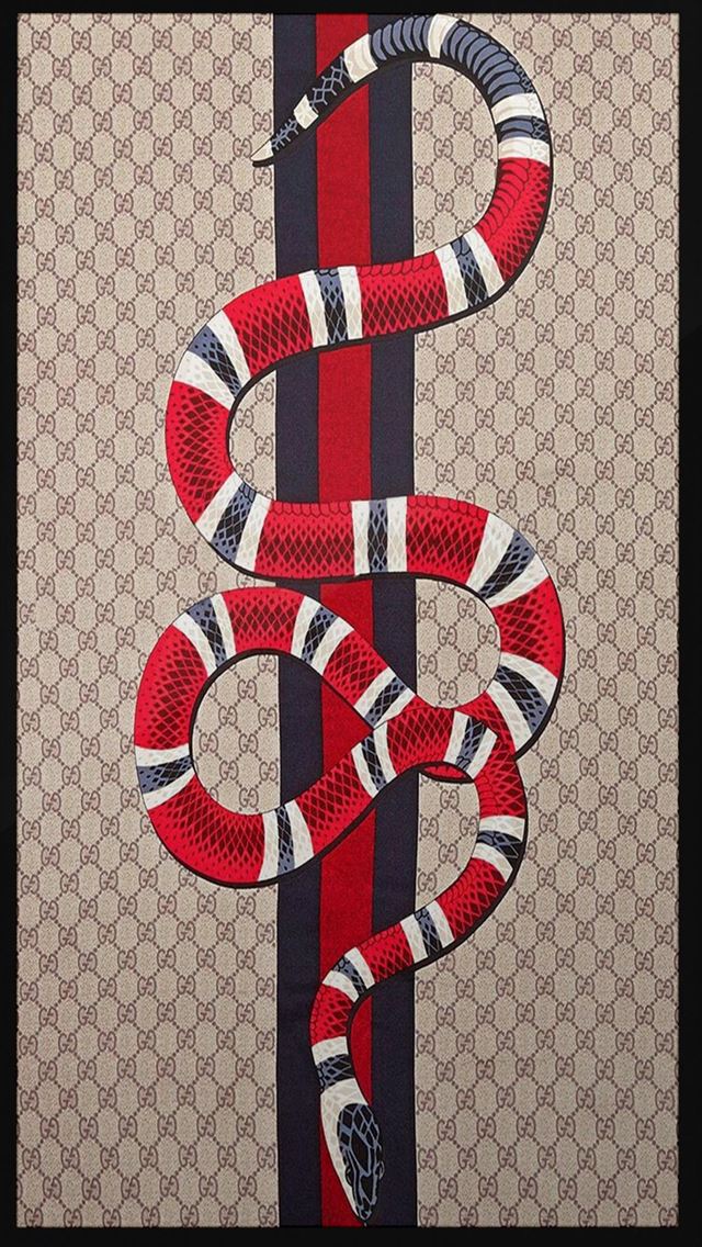 1284x2778 kingsnakes - kingsnakes iPhone Wallpaper