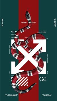 kingsnakes wallpaper