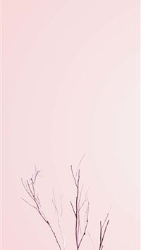 miltank hd wallpaper