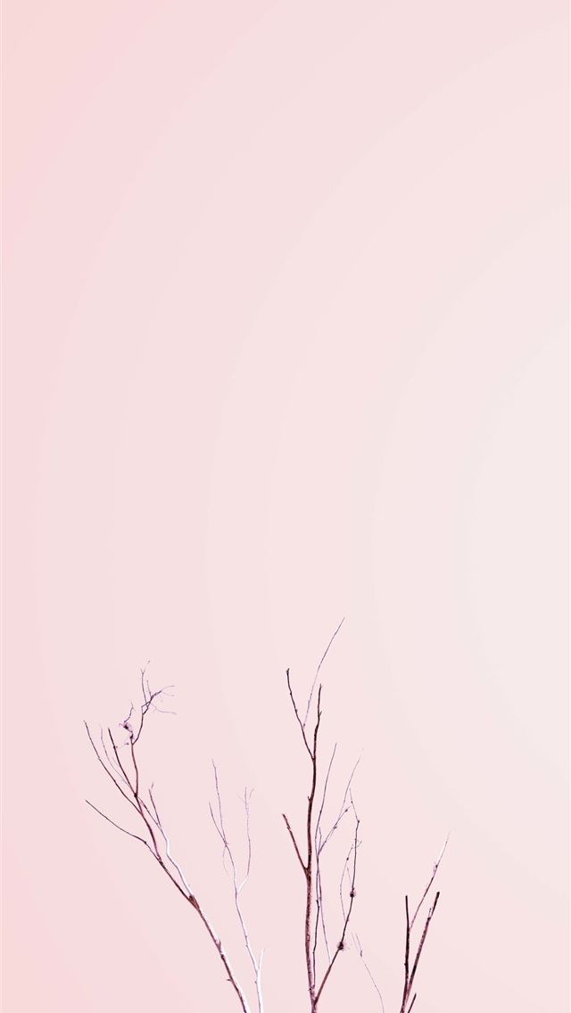 1284x2778 miltank hd - miltank hd iPhone Wallpaper