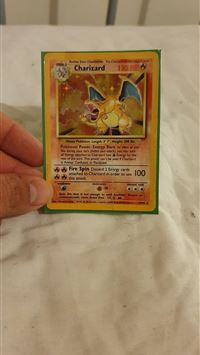 meganium hd wallpaper