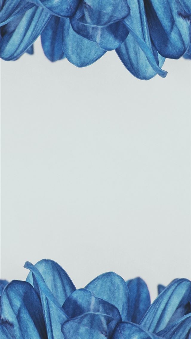 1125x2436 decathlon - decathlon iPhone Wallpaper