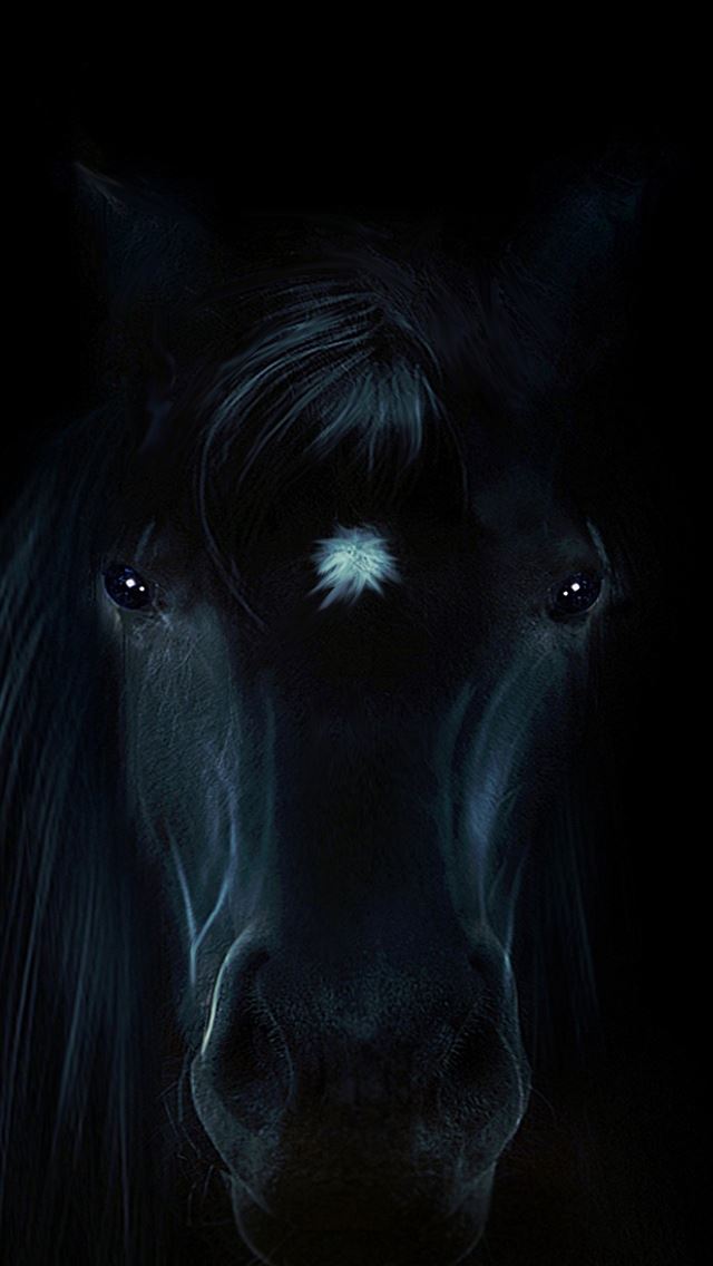 1284x2778 horsea hd - horsea hd iPhone Wallpaper