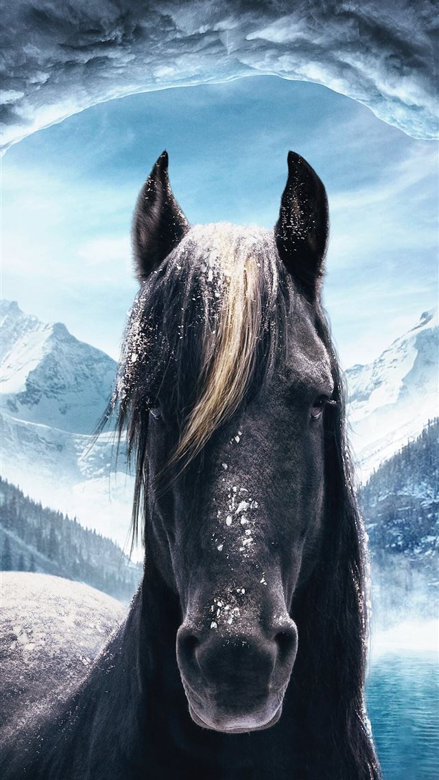 1284x2778 horsea hd - horsea hd iPhone Wallpaper