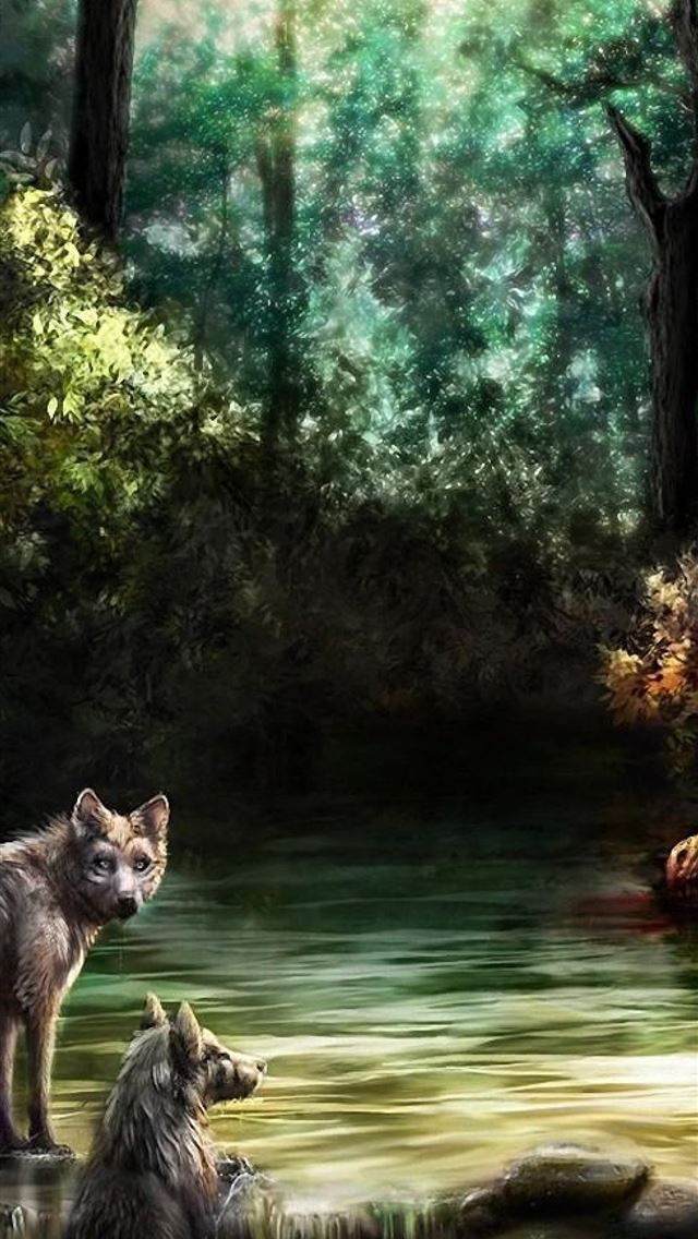 1284x2778 jackals - jackals iPhone Wallpaper