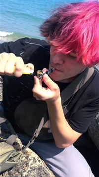 tony hawks pro skater 4 wallpaper