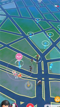 mesprit hd wallpaper