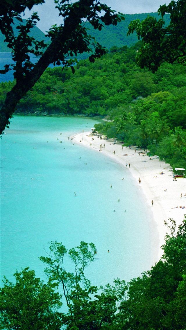 1284x2778 st johns - st johns iPhone Wallpaper