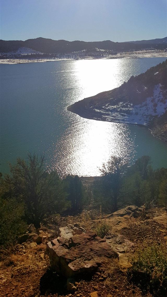 1284x2778 st johns - st johns iPhone Wallpaper