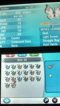 vivillon hd wallpaper