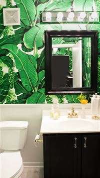 bowhead whales wallpaper