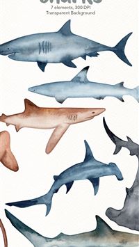 bowhead whales wallpaper