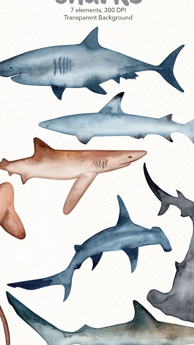 1284x2778 bowhead whales - bowhead whales iPhone Wallpaper