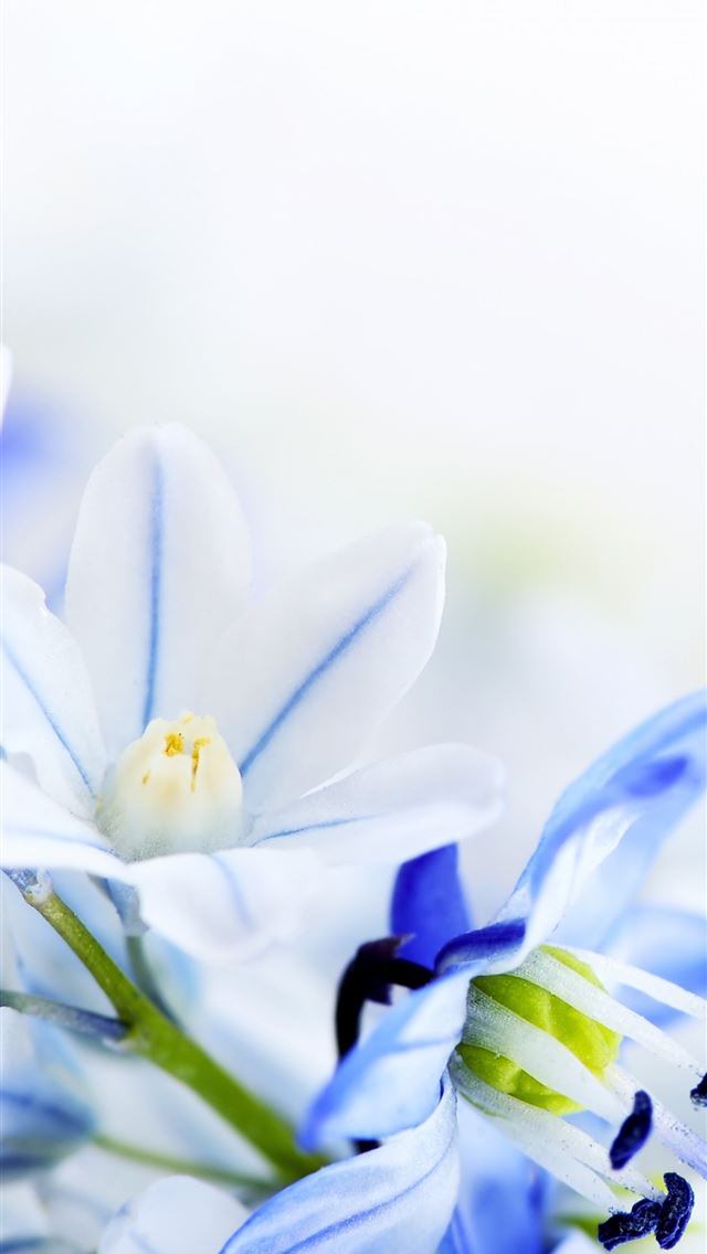 1284x2778 geely logo - geely logo iPhone Wallpaper