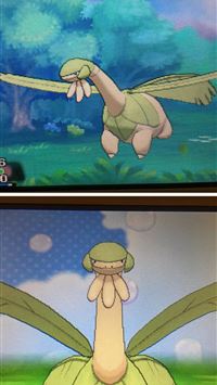 tropius hd wallpaper